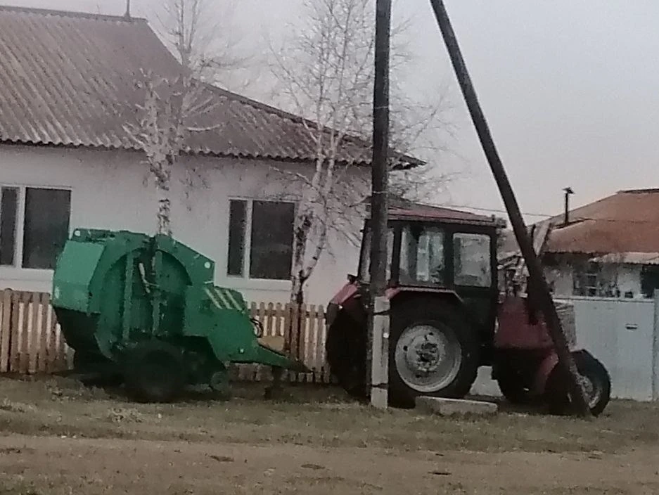 В Красноярске в 3 раза вырос спрос на озеленение и подготовку почвы 