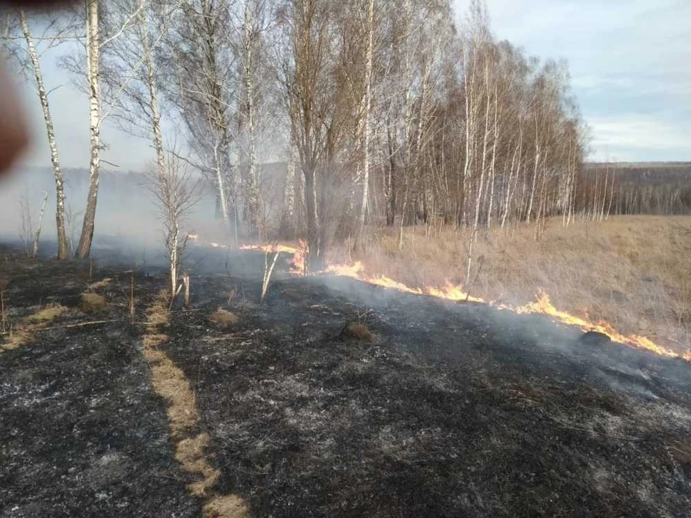 В Красноярском крае за сутки произошёл лесной пожар в Саянском районе 