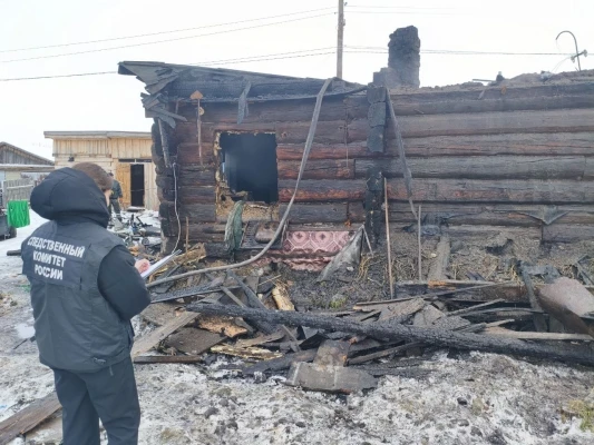 В Алтайском крае следователи расследуют смерть детей на пожаре