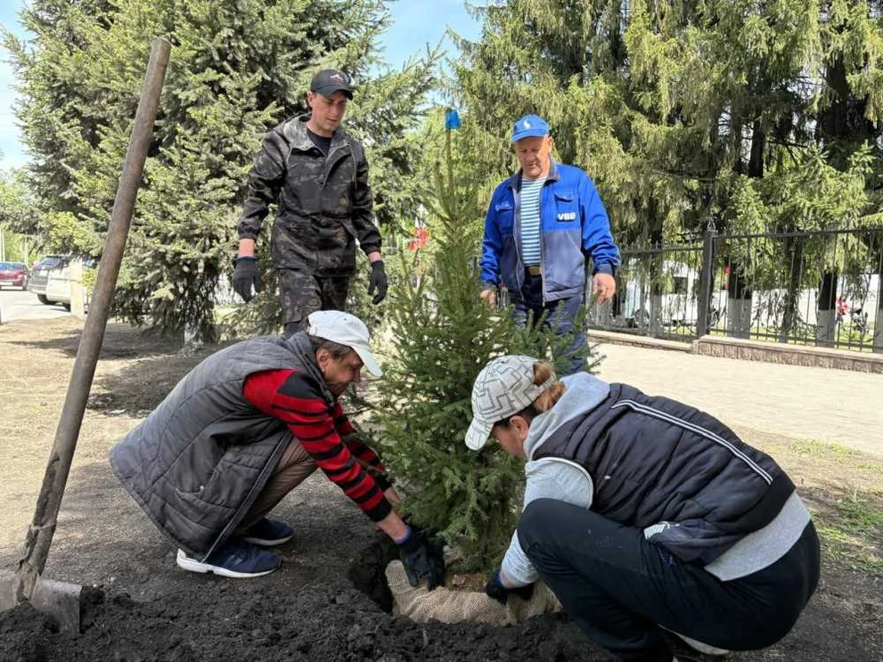 В Горно-Алтайске летом высадят более 1500 новых саженцев