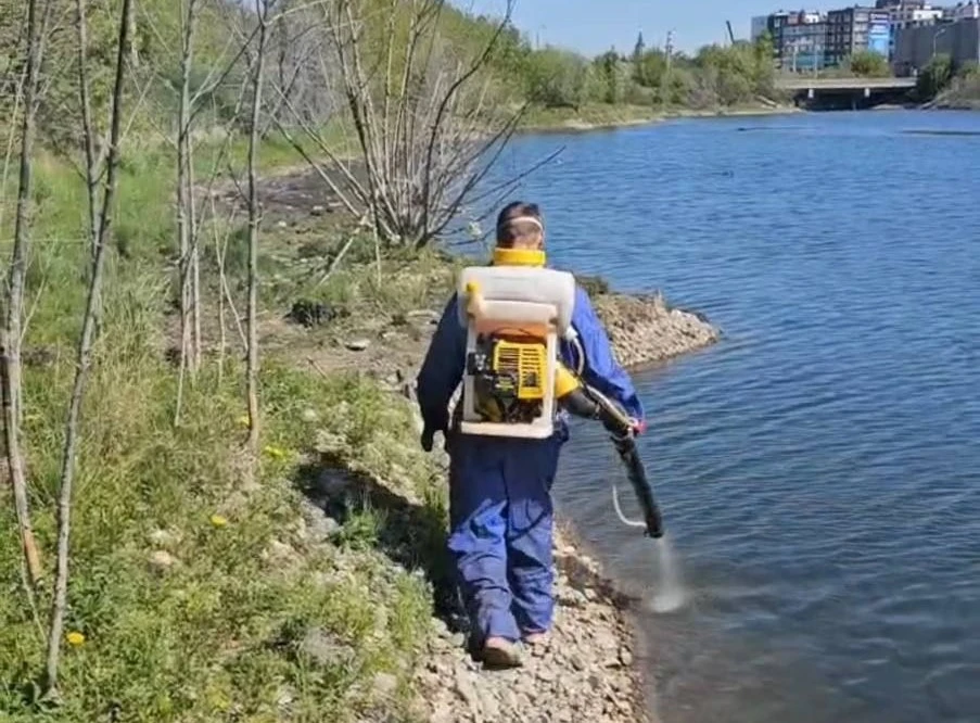 В Иркутске водоёмы обработали от малярийных комаров 