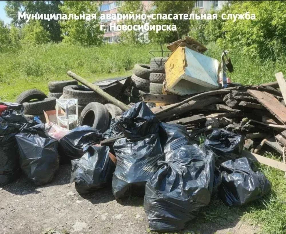 В Кировском районе Новосибирска спасатели очистили озеро Акатуйское