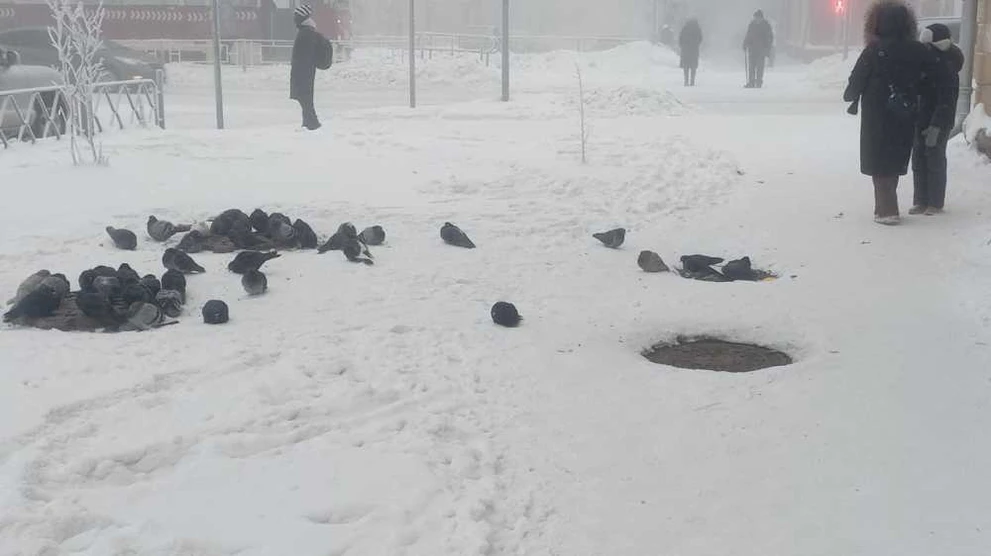 Первая рабочая неделя года в Красноярском крае будет морозной