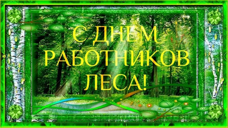 В Иркутской области руководство предприятия осудили за финансирование профессионального праздника