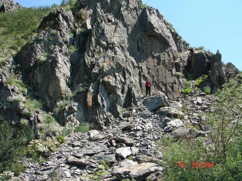 В Горном Алтае нашли древнее морское существо возрастом 466 миллионов лет