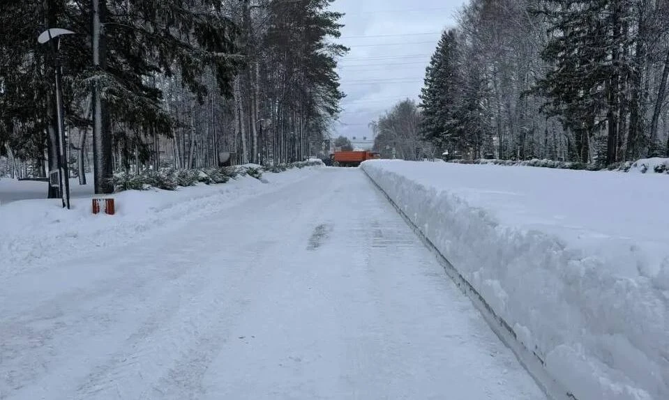 Мэр Томска недоволен очисткой снега в городе 