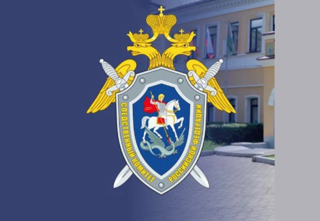 Красноярска пожаловалась в СК России на отсутствие лекарств для детей-инвалидов 