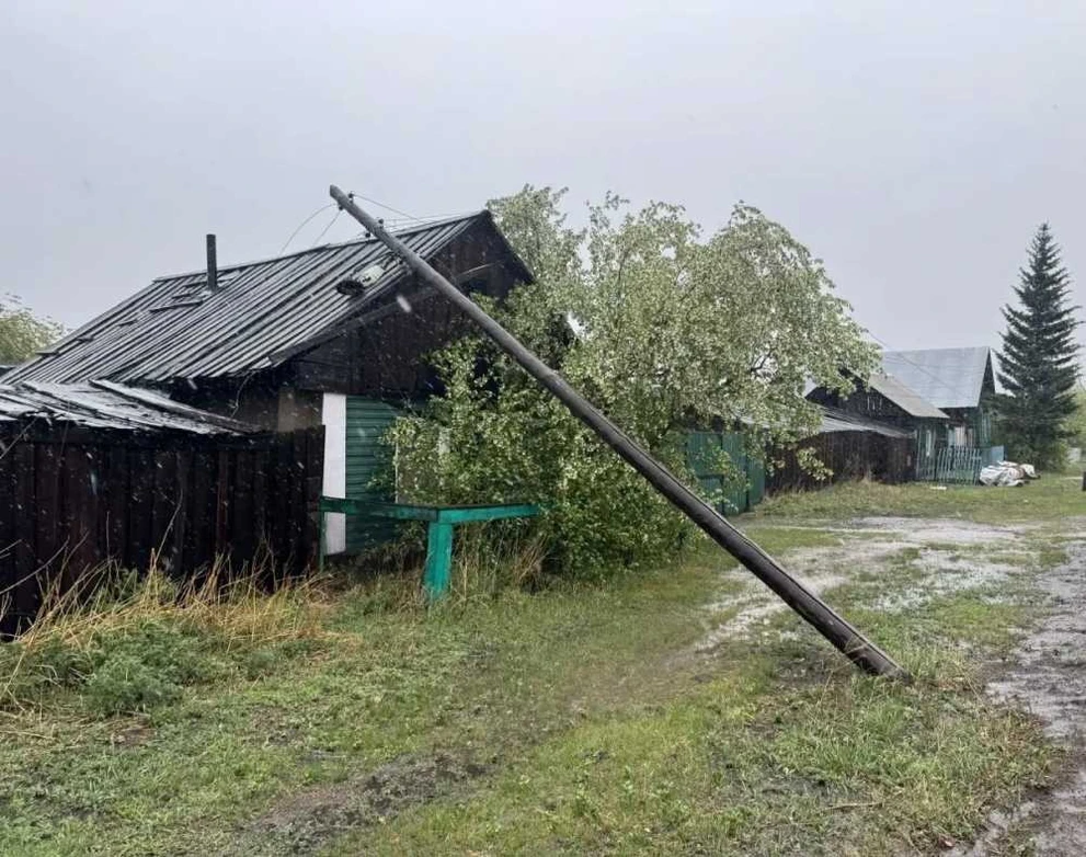 В Туве упавшая на дом опора ЛЭП стала причиной гибели шести коров