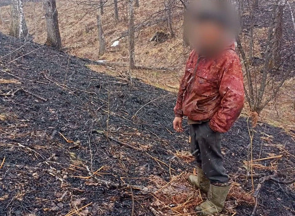 В Каратузском районе Красноярского края установили виновника лесного пожара