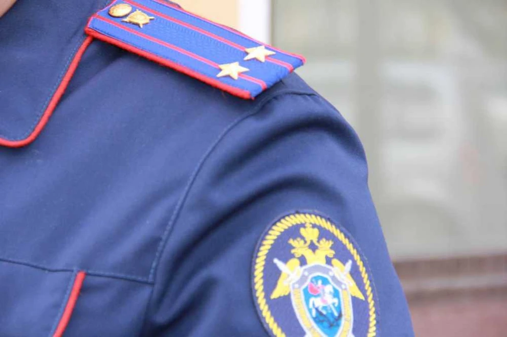 В Красноярском крае расследуют дело о нападении бродячей собаки на подростка