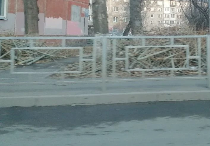 В Красноярске рядом с образовательными учреждениями обезопасят участки дорог
