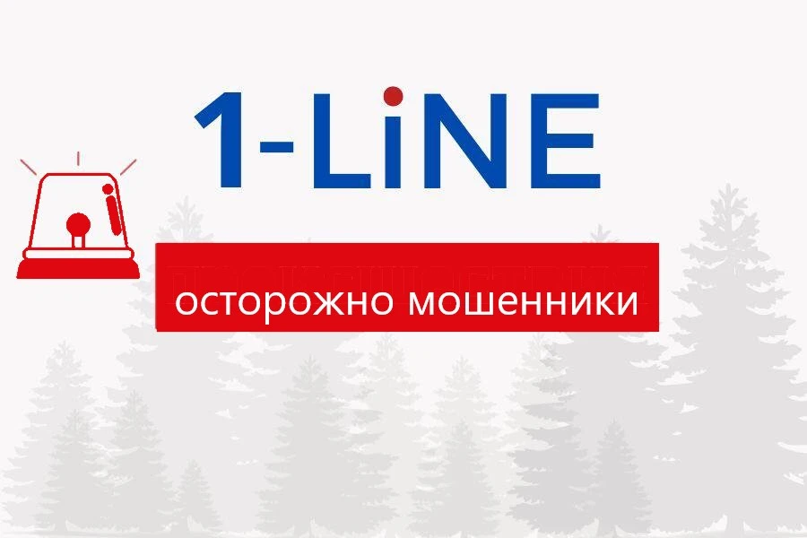 В Красноярске участились случаи мошенничества в отношении молодых людей