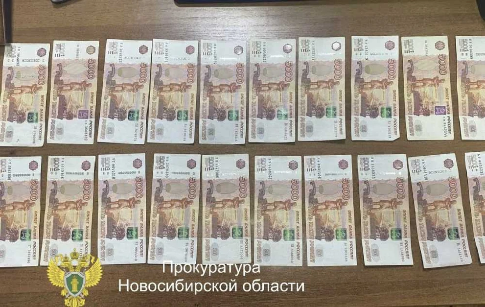 Жителя Новосибирской области будут судить за обман пожилого мужчины