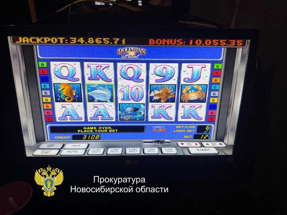 В Новосибирске прикрыли два подпольных игорных клуба