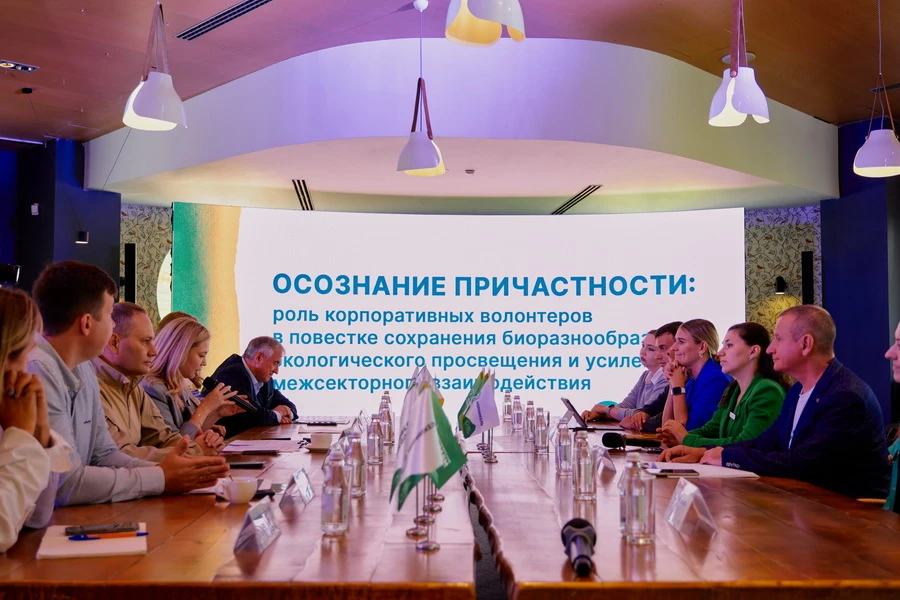 В Красноярске на экослёте «Сибирская перспектива» предложили привлечь бюджет на восстановление экосистем Базаихи