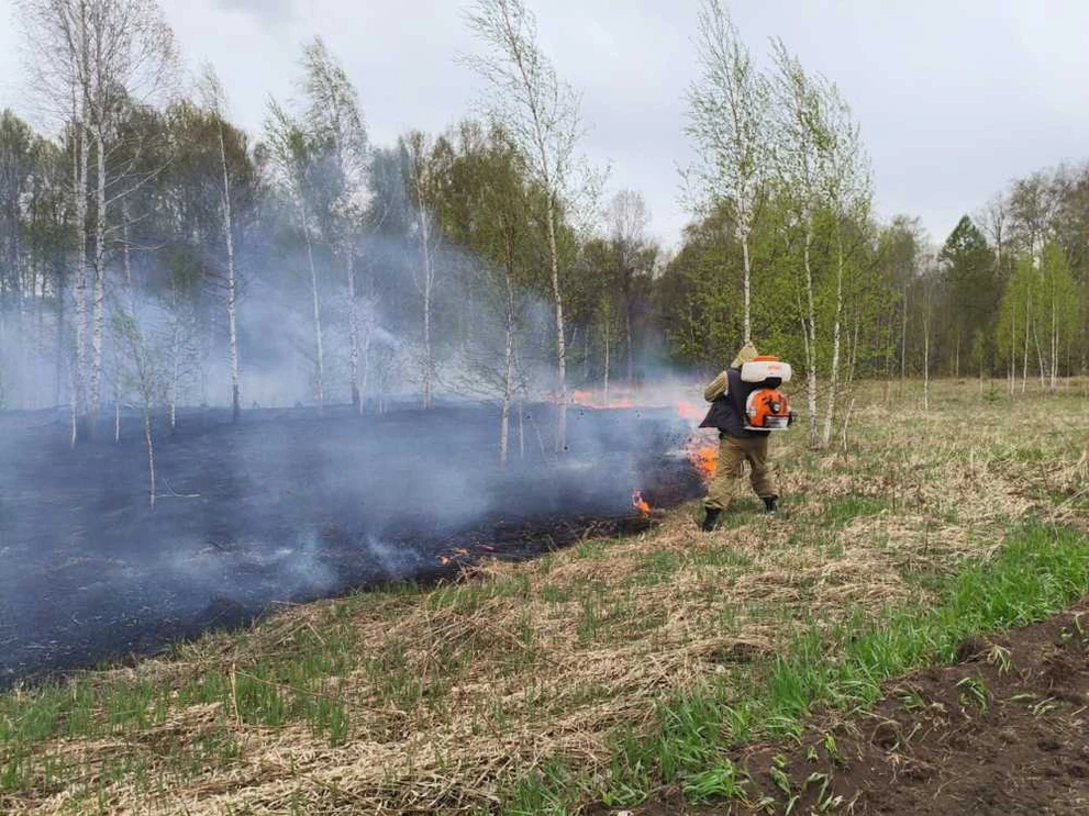 В Рыбинском районе Красноярского края ликвидирован лесной пожар