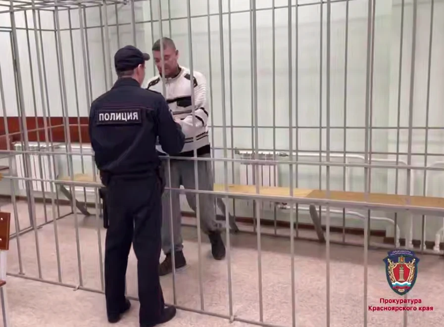 В Красноярске прошёл суд над водителем, сбившем насмерть школьника и его мать  