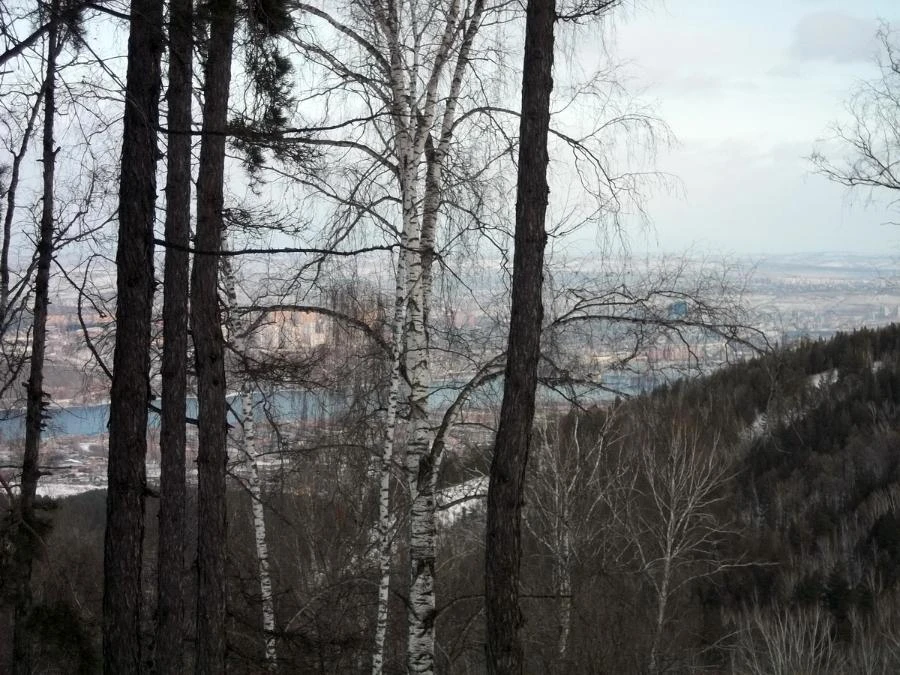 Прогноз погоды в Красноярске на 1 декабря