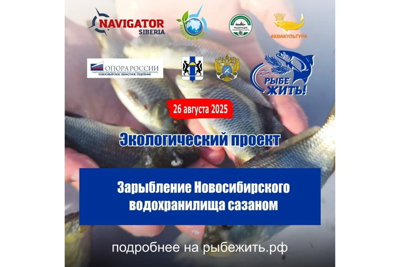 В рамках проекта «РЫБЕ ЖИТЬ!» в Новосибирское водохранилище выпустят рыбную молодь