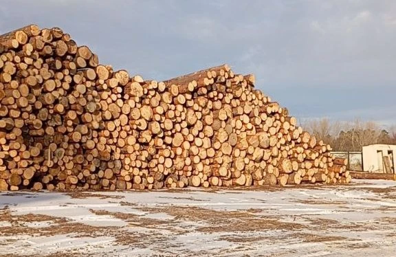 В Красноярском крае выявлены факты незаконного экспорта пиломатериалов