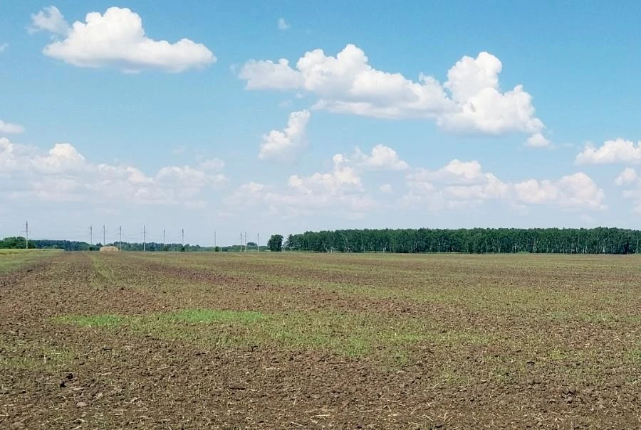 Земельный фонд Омской области готовит 16 тысяч гектаров новых земель для аграриев