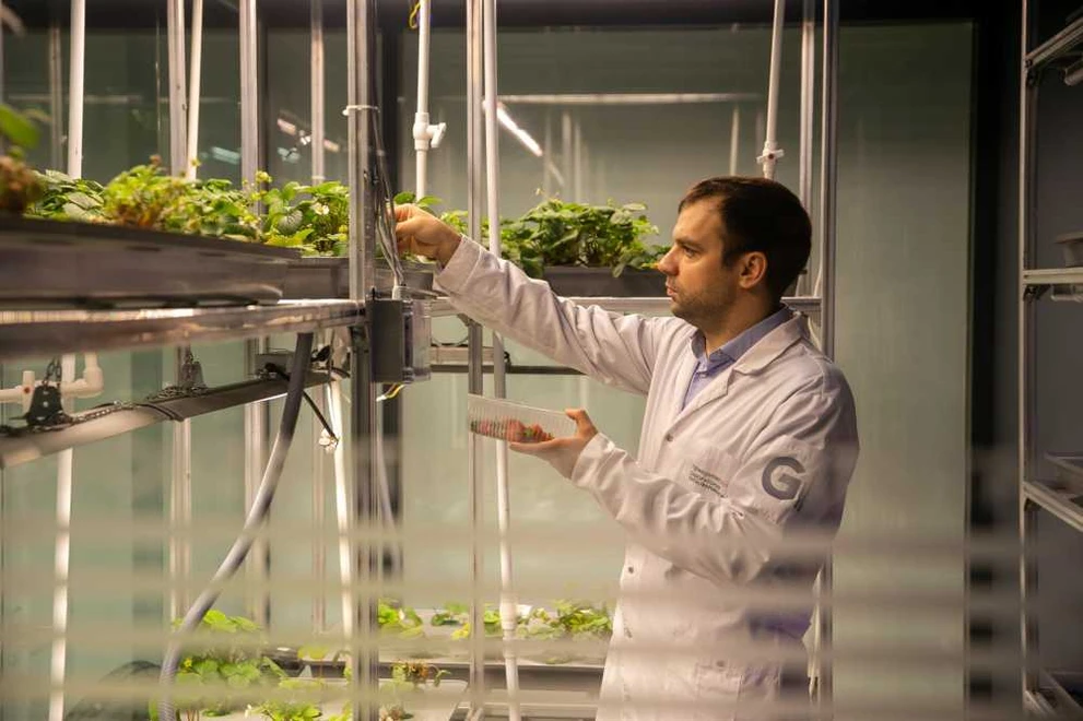 СФУ вошёл в Топ-50 зелёных университетов мира в рейтинге GreenMetric