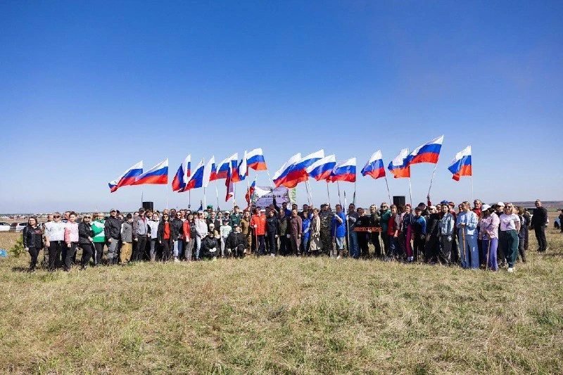 В Хакасии к 9 мая высадят сосновый геоглиф «Победа 80»