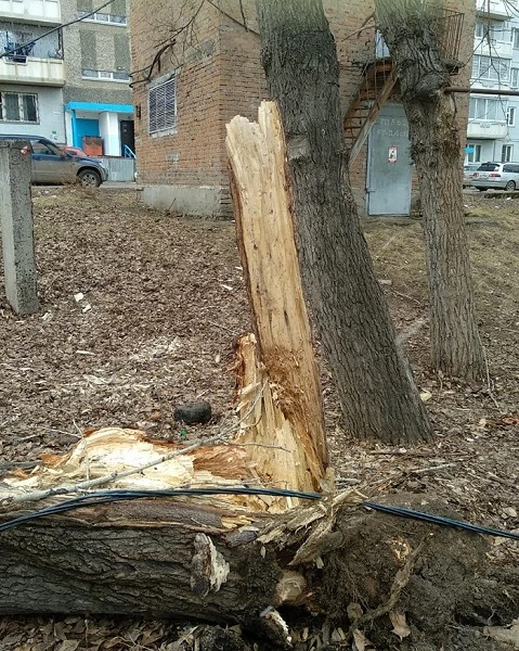 КрасКом_ликвидирует последствия штормого ветра (3).jpg КрасКом_ликвидирует последствия штормого ветра (3).jpg