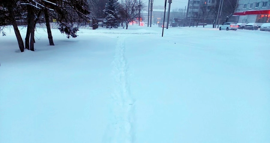 20210129_084938.jpg 20210129_084938.jpg