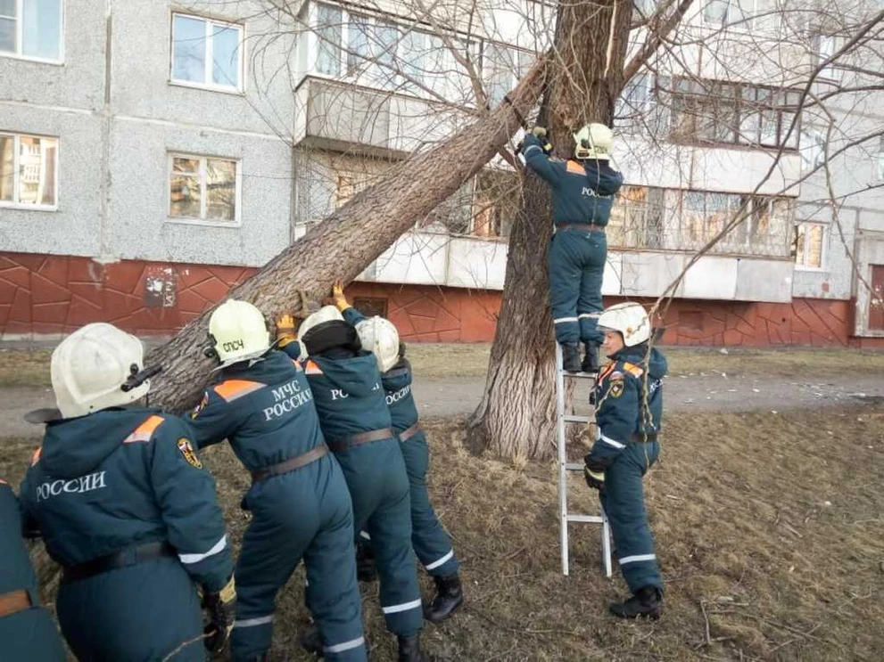 Последствия урагана Работа спасателей (2).jpg