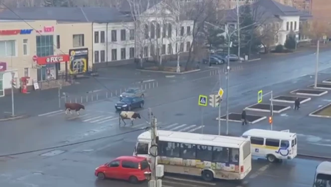 Назарово.png Назарово.png