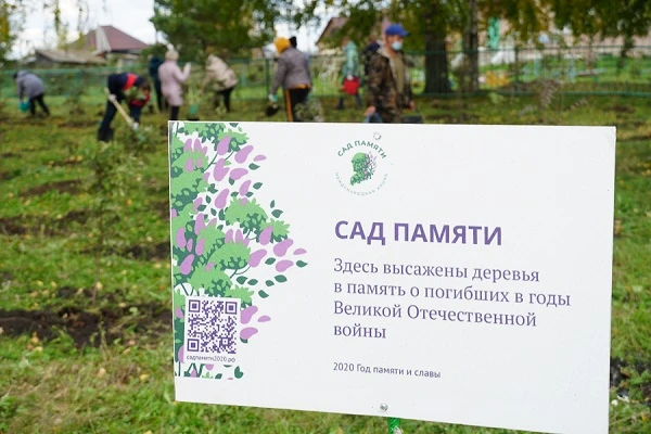 DSC04464 (1).JPG DSC04464 (1).JPG