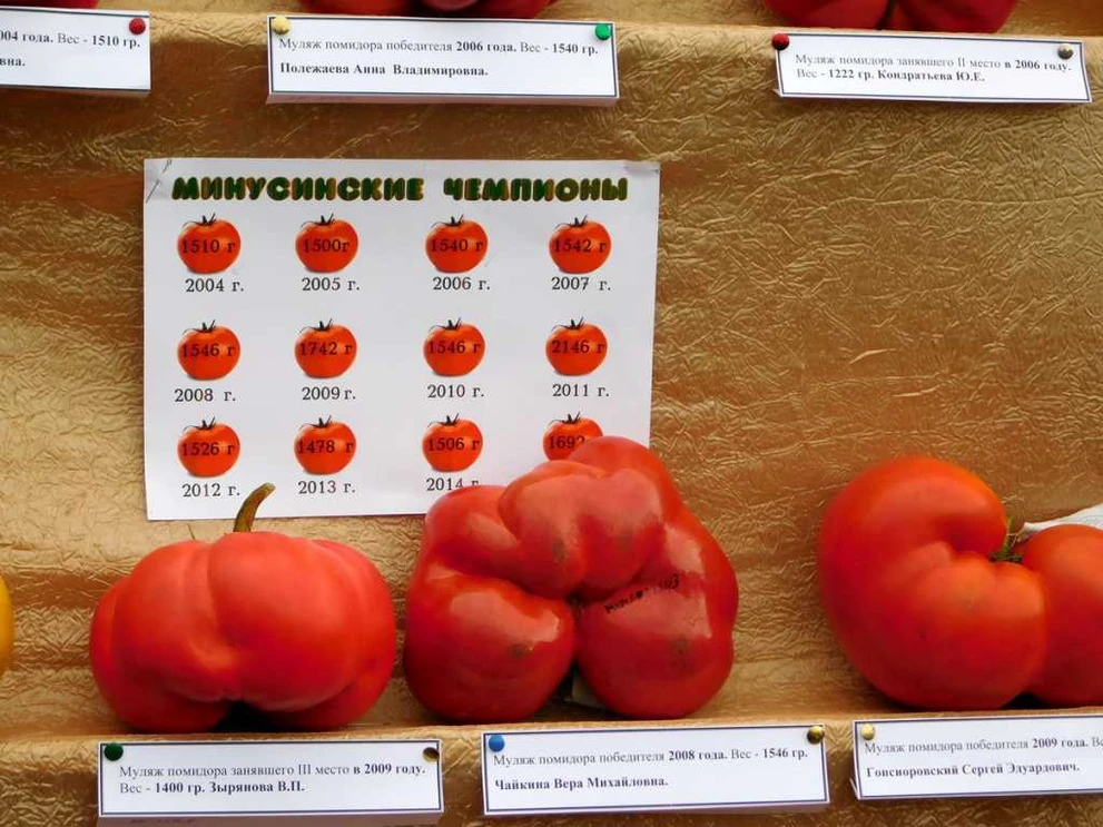 Чемпионы прошлых лет DSCN3664.JPG
