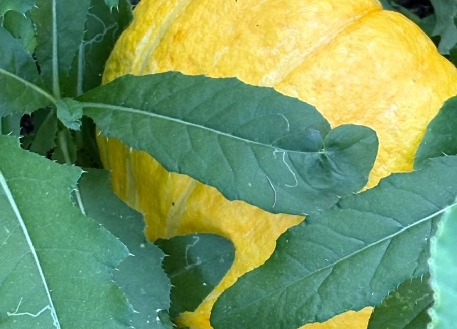 Caa5ANmKNOOchqTBnezVcEb3OseuWQbHwAmqBBaWeeb4tnjIuuJBLXEGaNTqTSitGRW0qY2uxnrzDwy08HN2j-en.jpg Caa5ANmKNOOchqTBnezVcEb3OseuWQbHwAmqBBaWeeb4tnjIuuJBLXEGaNTqTSitGRW0qY2uxnrzDwy08HN2j-en.jpg