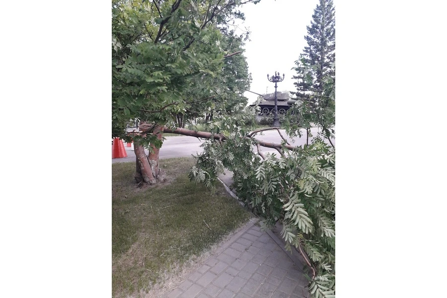 фото с паблика Инцидент Барнаул.jpg