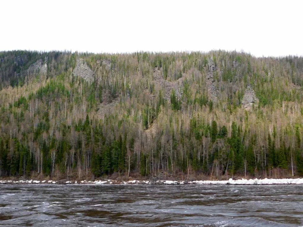 DSCN3411.JPG