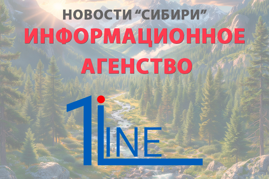 Новосибирский программист с нарушением слуха создал автоматического переводчика жестов на звуковой язык