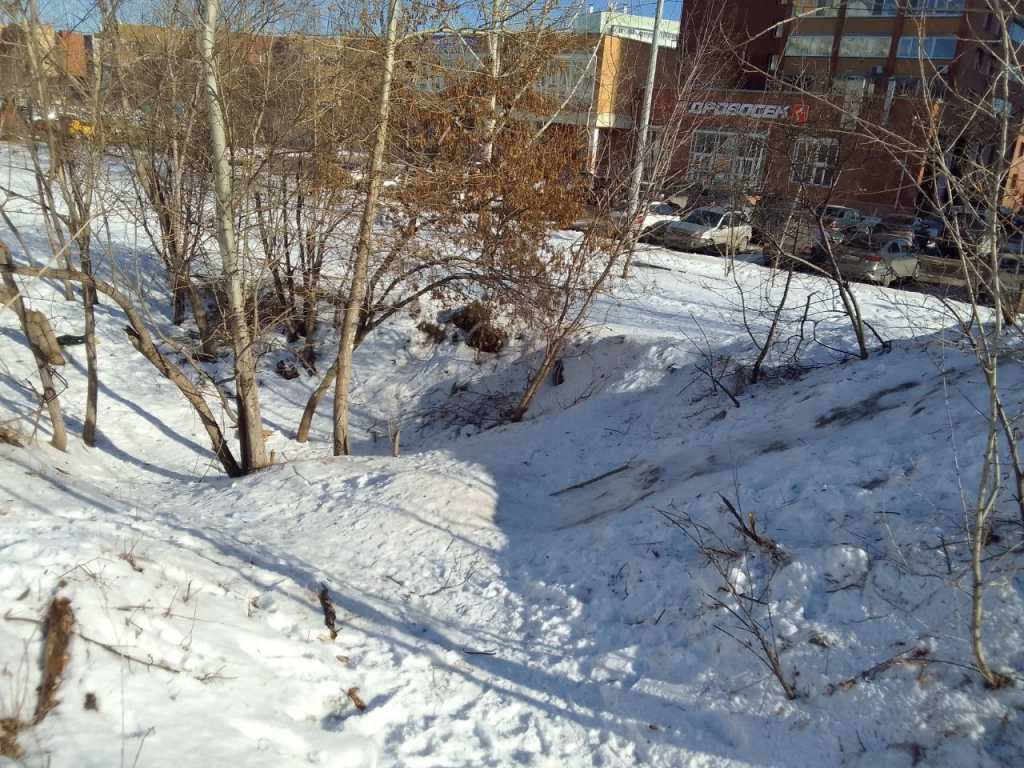 photo_2023-03-11_16-06-25 (2).jpg