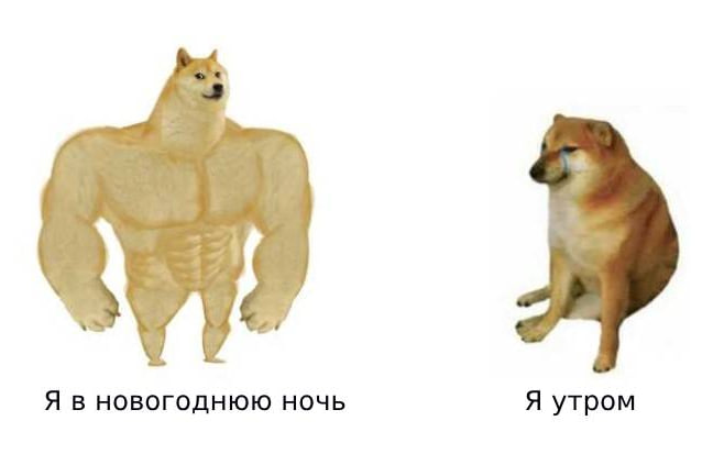 photo_2023-12-31_18-51-15.jpg photo_2023-12-31_18-51-15.jpg